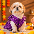 Purple Diwali Kurta for Pets