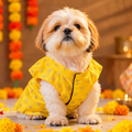 Yellow Dog Kurta for Diwali